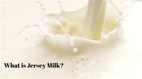 where to buy jersey milk